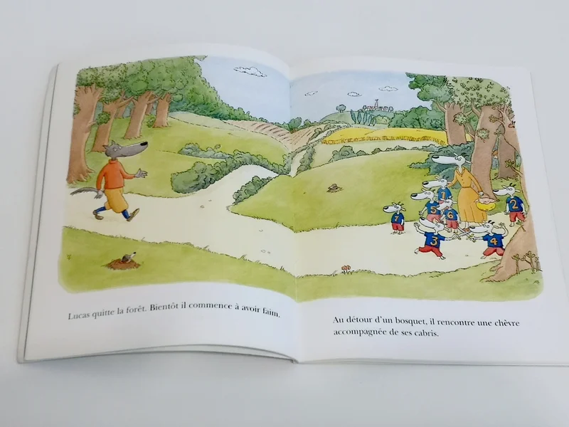 Le loup sentimental L'école des loisirs