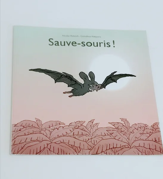 Sauve souris L'école des loisirs