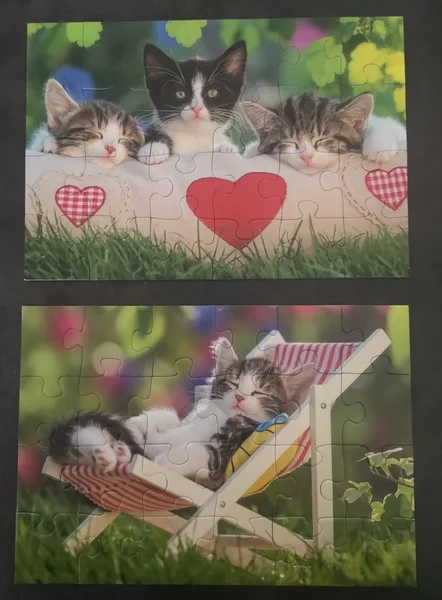 Puzzles Chatons au repos RAVENSBURGER