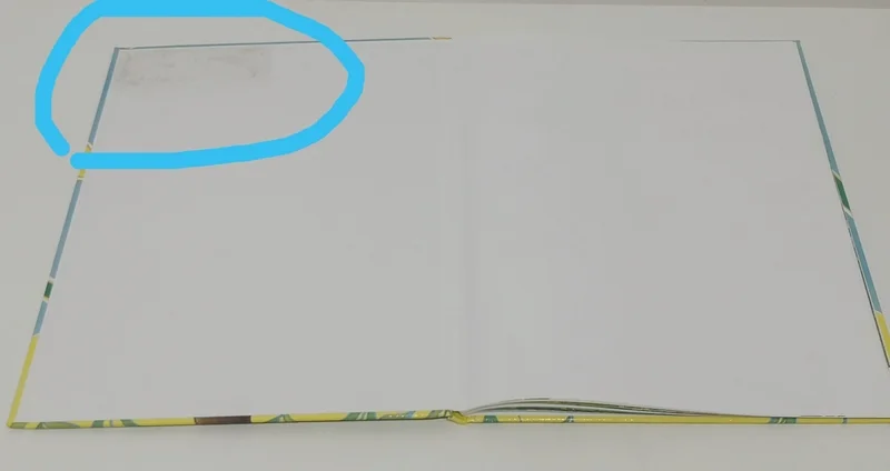 Ca suffit espèce de tyran Editions Kaleidoscope