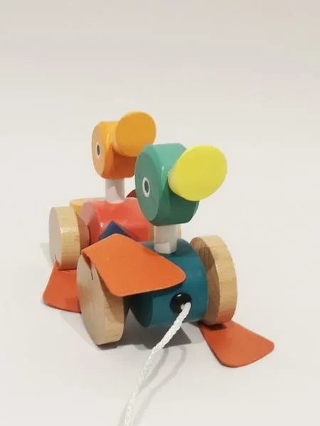 Canard Family à promener JANOD