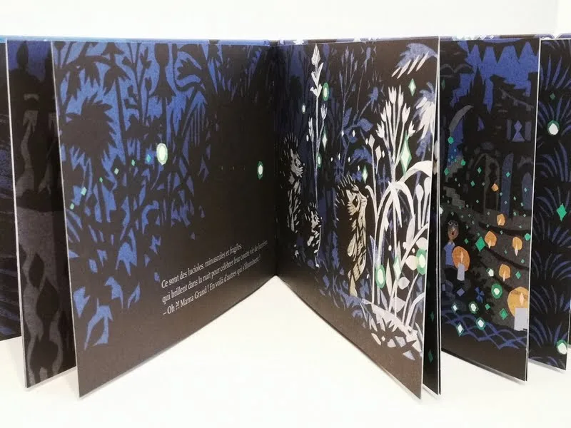 La lumière des lucioles Editions Thierry Magnier