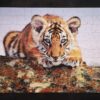 Puzzle Jeune tigre Nathan