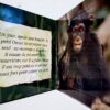 Chimpanzés Mon petit livre puzzle Hachette