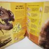 Les dessous des dinosaures et des premiers mammifères Tourbillon