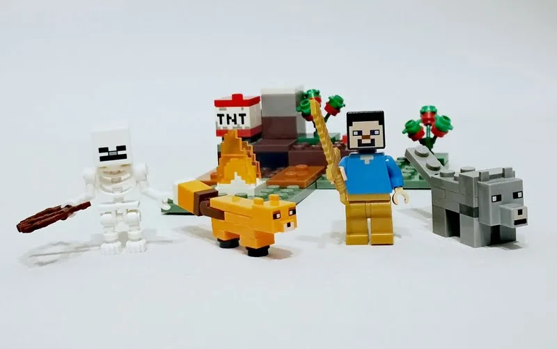 LEGO Minecraft 21162