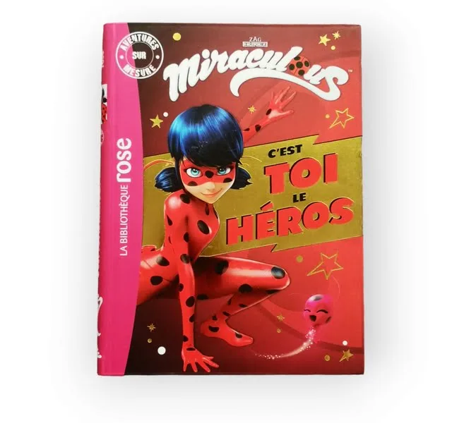 C'est toi le héros La bibliothèque Rose