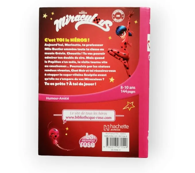 C'est toi le héros La bibliothèque Rose