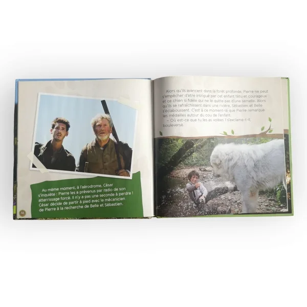 Belle et Sébastien Hachette