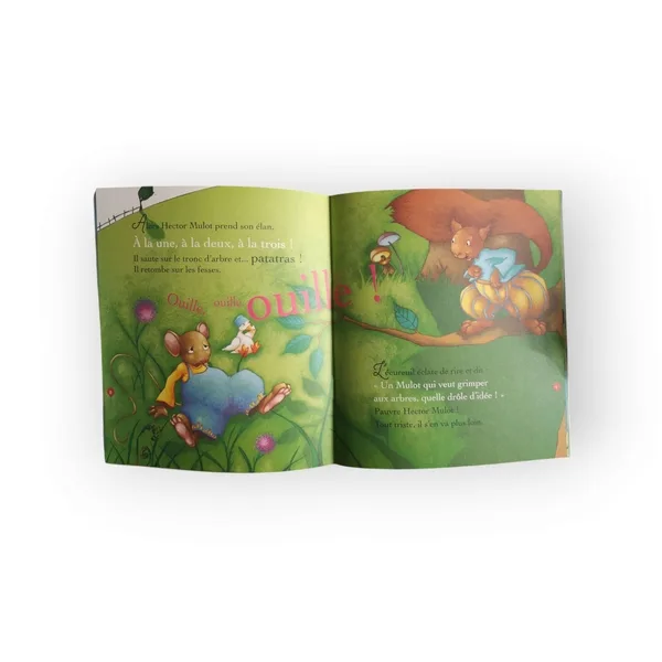 La grande histoire de mes 2 ans Fleurus