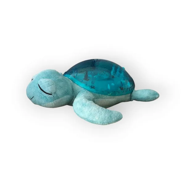 Tranquil Turtle Cloud B