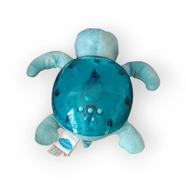 Tranquil Turtle Cloud B