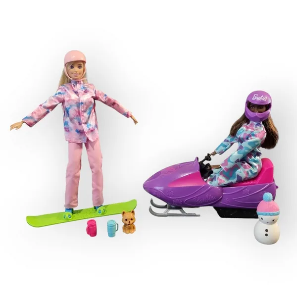 Coffret Barbie Sports d'hiver Mattel