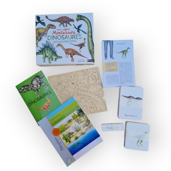 Mon coffret Montessori Dinosaures Nathan